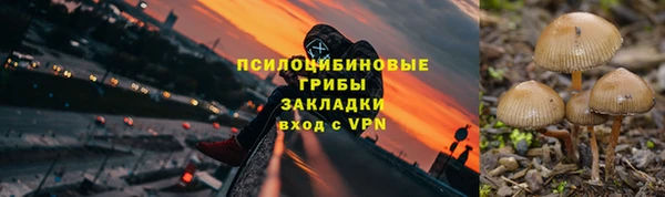 сатива Абинск