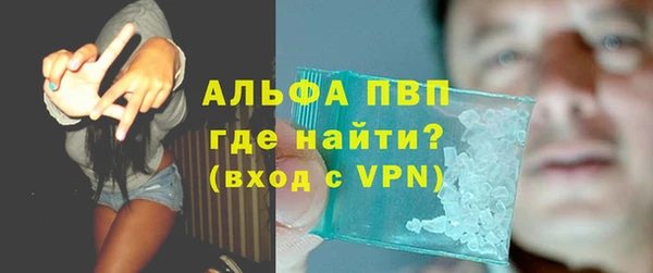 сатива Абинск