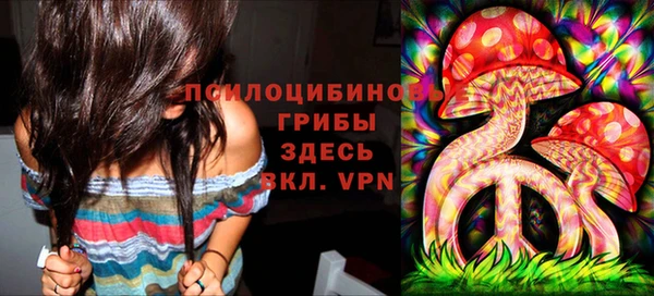 сатива Абинск