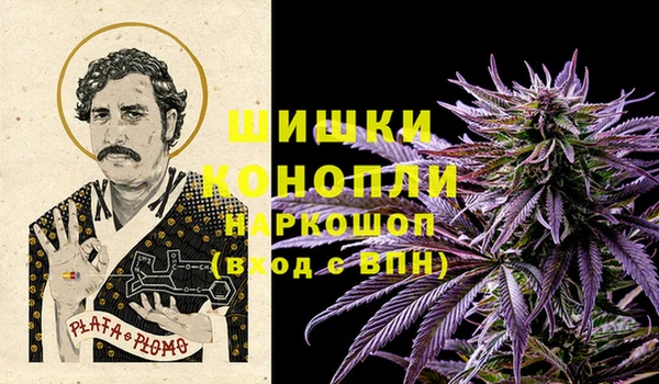 сатива Абинск