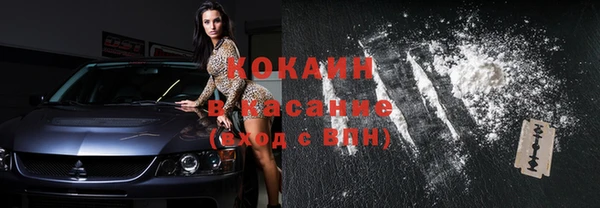 сатива Абинск