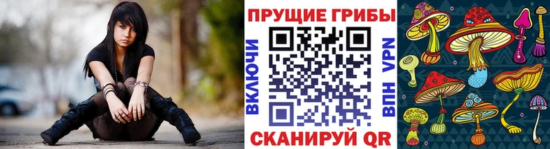 Псилоцибиновые грибы мицелий Духовщина